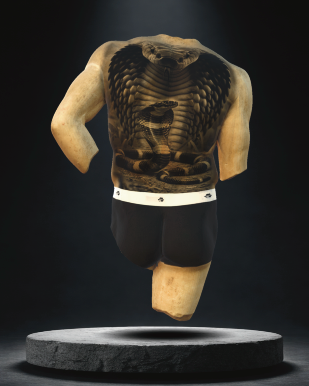 FULL BACK CONCEPTS