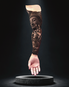 AWAKENING OF THE SPIRIT — FULL SLEEVE PROJECT
