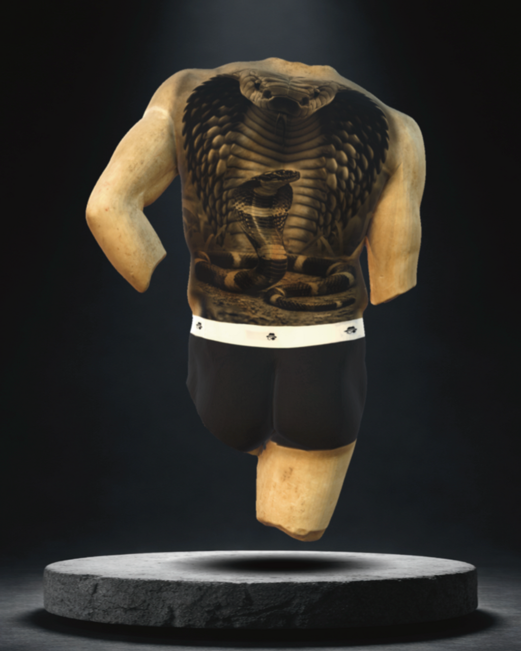 Full Back Concept — Cobra