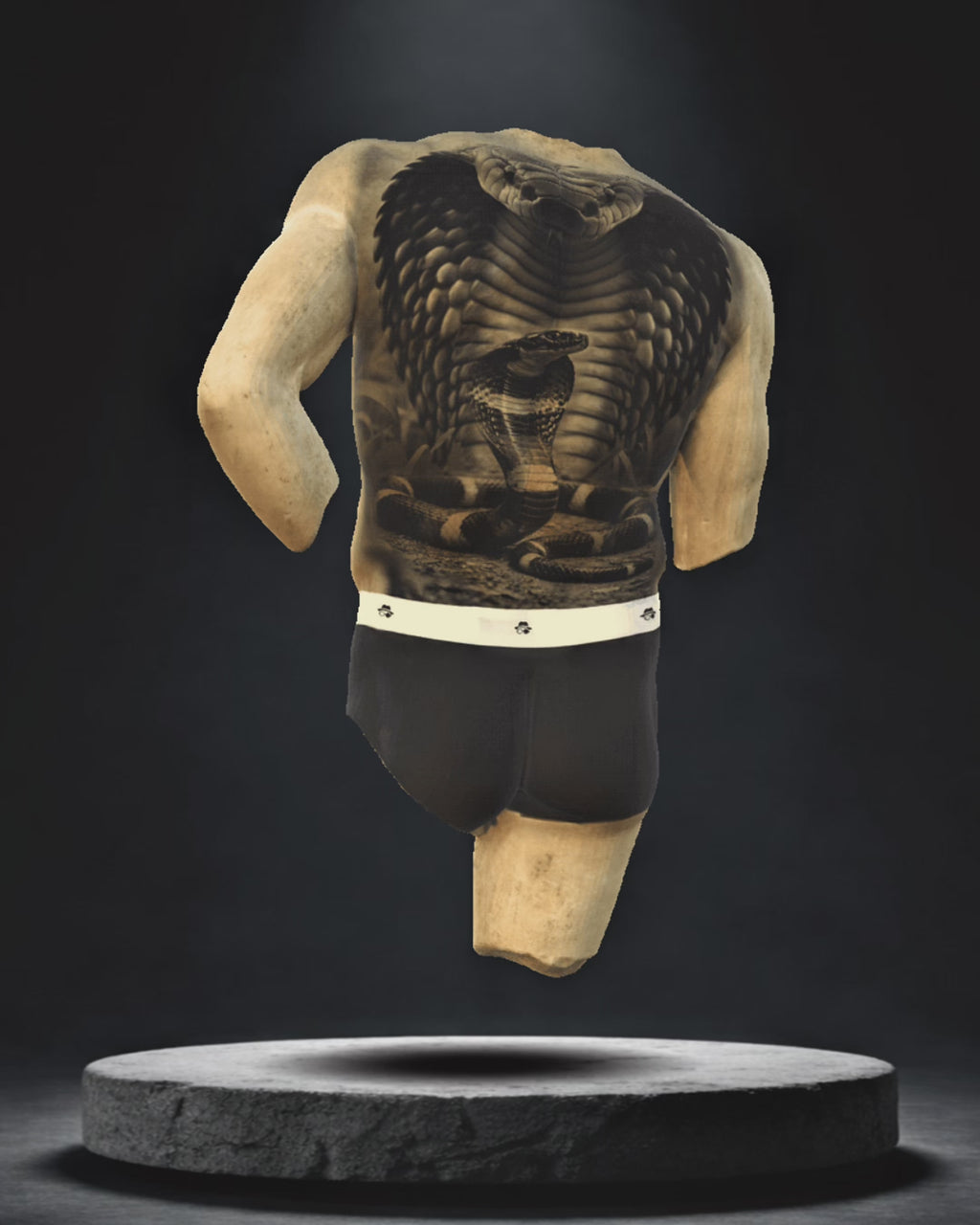 Full Back Concept — Cobra