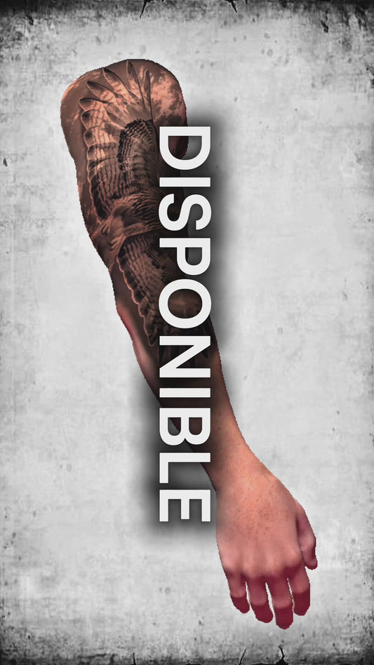 Furia del Cielo  – Eagle Tattoo Stencil